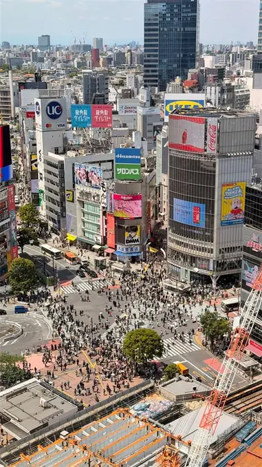 A bustling scene of Shibuya Crossing in Tokyo, capturing the vibrant urban life.