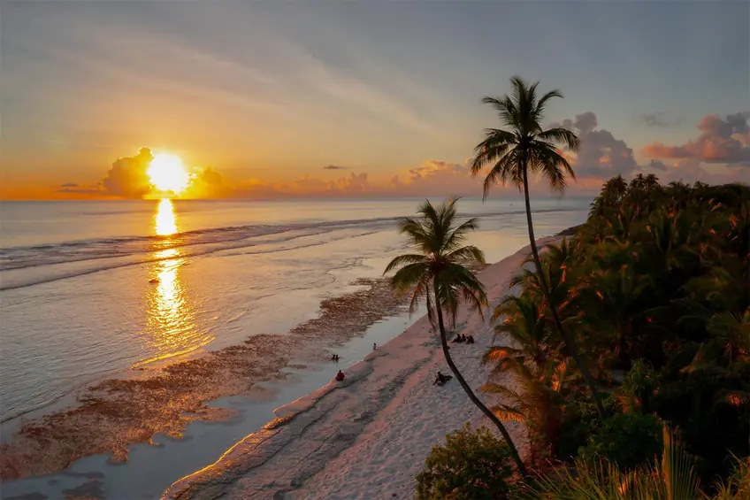 Serene tropical beach at sunset, with palm trees and golden reflections on the ocean.