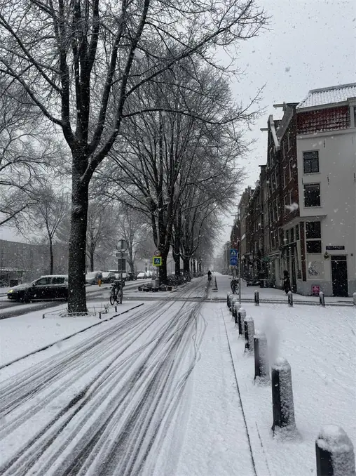 A serene winter scene of a snow-covered street in Amsterdam, with snowy trees and bicycles.