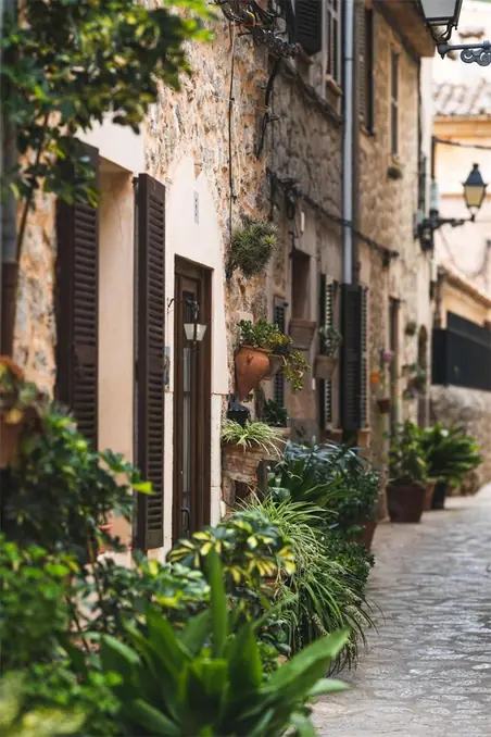 Picturesque narrow street in Valldemossa, Spain, adorned with lush potted plants and rustic architecture.